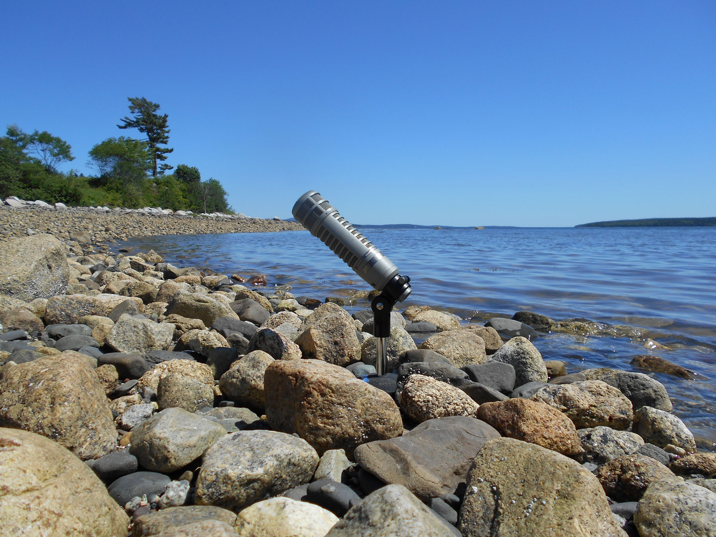 WERU.org website background, a mic nestled in ocean rocks with the ocean behind it