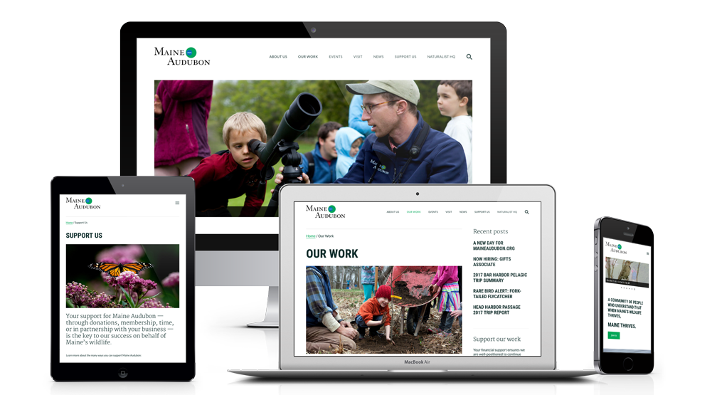 Maine Audubon website on multiple devices.